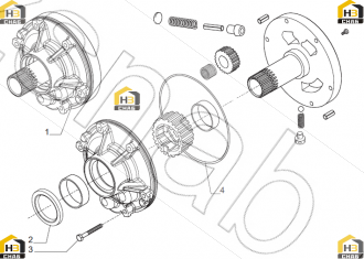 Oil seal