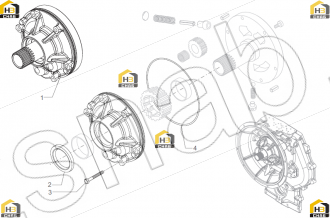 Oil seal