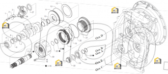 O-ring