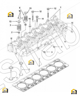 OIL SEAL