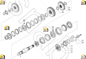 Oil seal