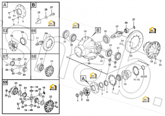 Differential pinion