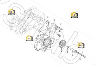 Gasket