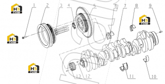 Crankshaft timing gear