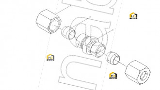 Ferrule