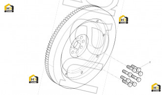 Flywheel screw