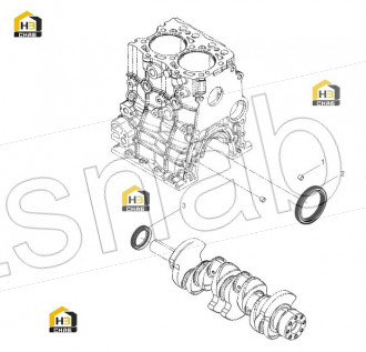 Rear Oil Seal