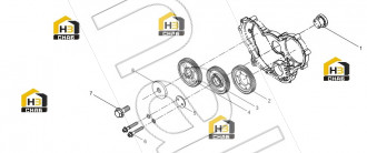 Fuel Injection Pump Gear