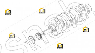 Oil Pump Driving Gear