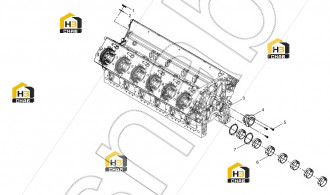 Main Bearing Set