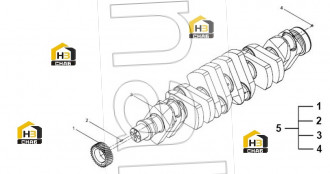 CRANKSHAFT GEAR