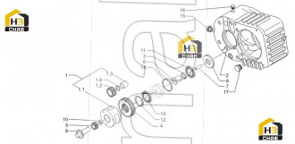 Spur Gear