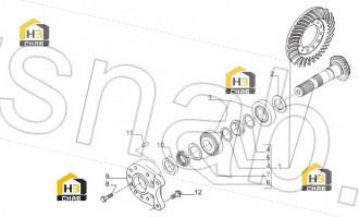 Oil seal ring