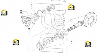 Bevel gear/Pinion set