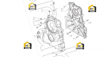 Screw M12x55