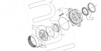 Oil seal