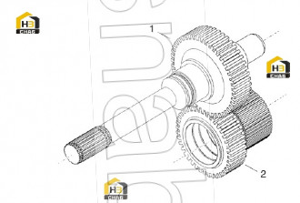 Oil pump active gear DANA