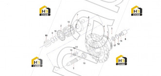 Cylinder Srping