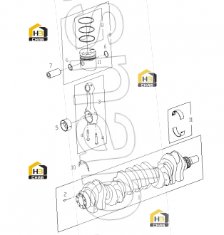 Oil ring parts