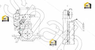 HEXAGON NUTS WITH FLANGE